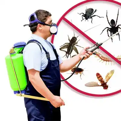 pest control Appleton City